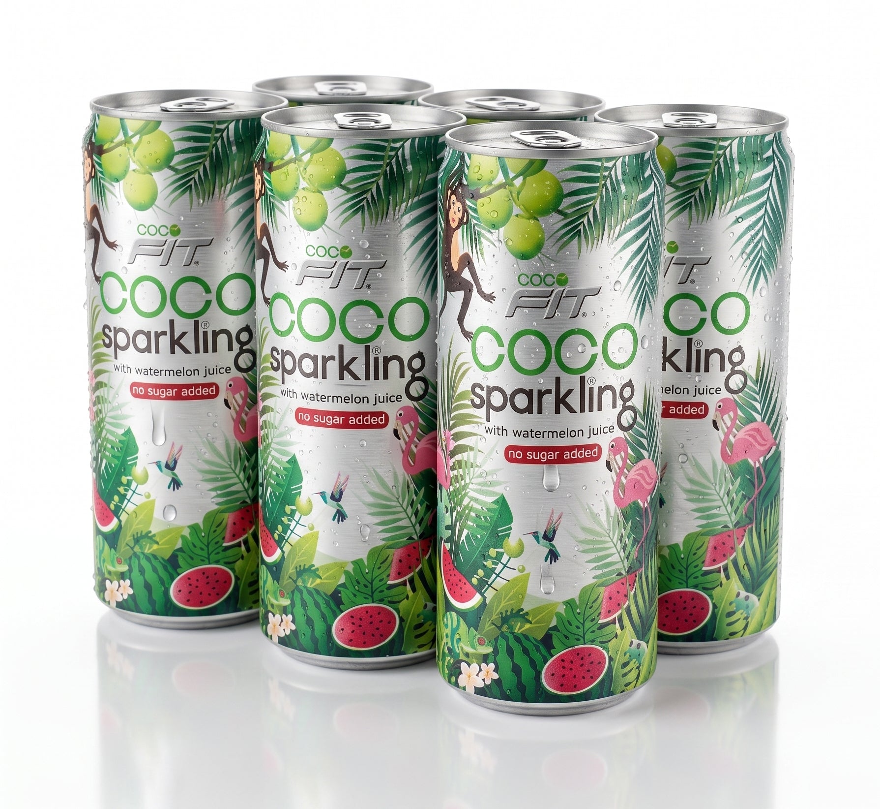 Cocofit – SPARKLING KOKOSNUSSWASSER MIT WASSERMELONE Aludose 6 pcs
