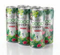 Cocofit –  SPARKLING KOKOSNUSSWASSER MIT WASSERMELONE Aludose 6 pcs