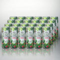 Cocofit –  SPARKLING KOKOSNUSSWASSER MIT WASSERMELONE Aludose 24 pcs (Karton)